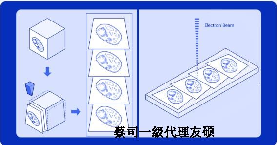 林芝蔡司林芝扫描电镜