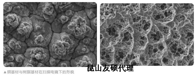 林芝蔡司林芝扫描电镜