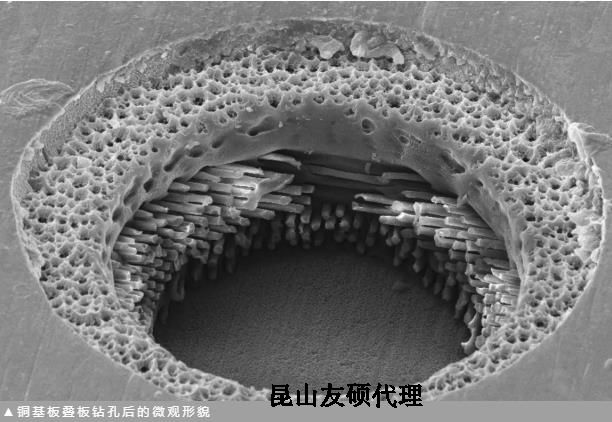 林芝蔡司林芝扫描电镜